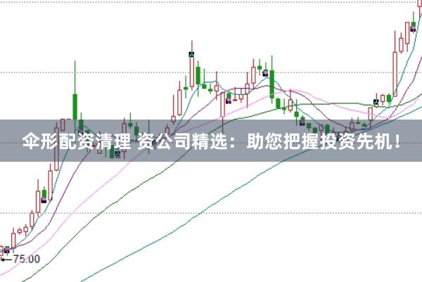 伞形配资清理 资公司精选:助您把握投资先机!