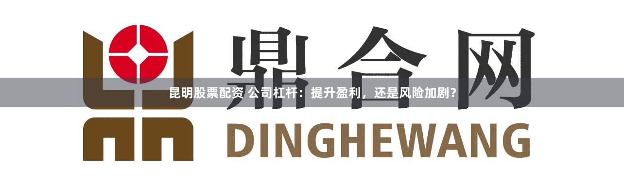 昆明股票配资 公司杠杆:提升盈利,还是风险加剧?