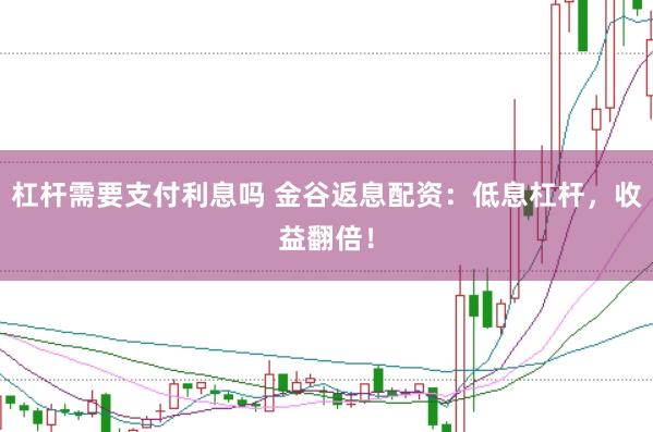 杠杆需要支付利息吗 金谷返息配资：低息杠杆，收益翻倍！