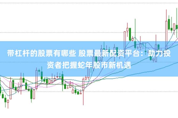 带杠杆的股票有哪些 股票最新配资平台：助力投资者把握蛇年股市新机遇