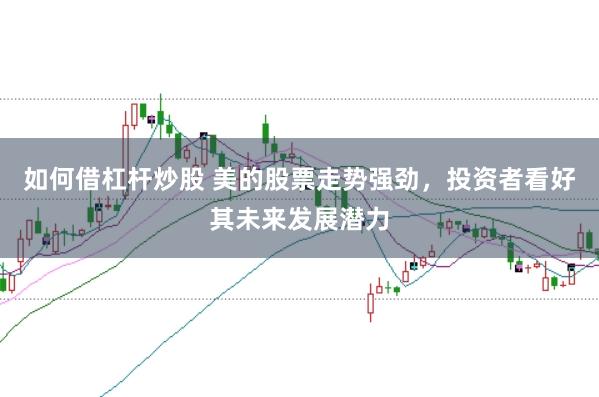 如何借杠杆炒股 美的股票走势强劲，投资者看好其未来发展潜力