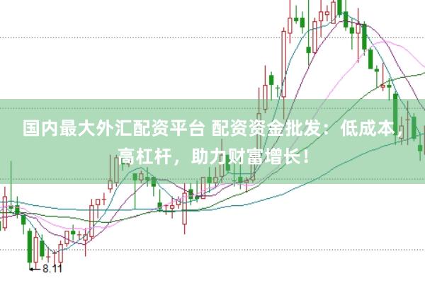 国内最大外汇配资平台 配资资金批发：低成本，高杠杆，助力财富增长！