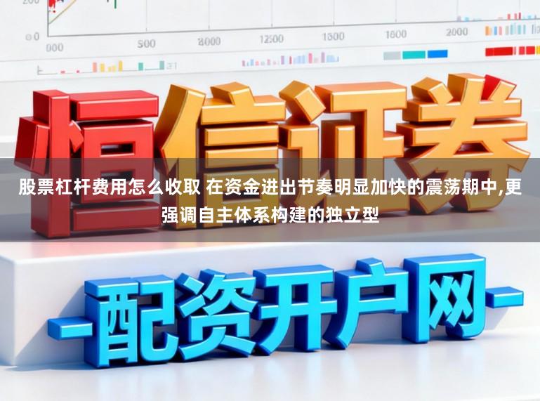 股票杠杆费用怎么收取 在资金进出节奏明显加快的震荡期中,更强调自主体系构建的独立型