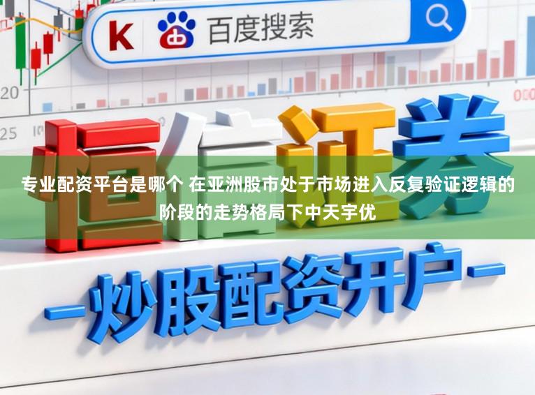 专业配资平台是哪个 在亚洲股市处于市场进入反复验证逻辑的阶段的走势格局下中天宇优