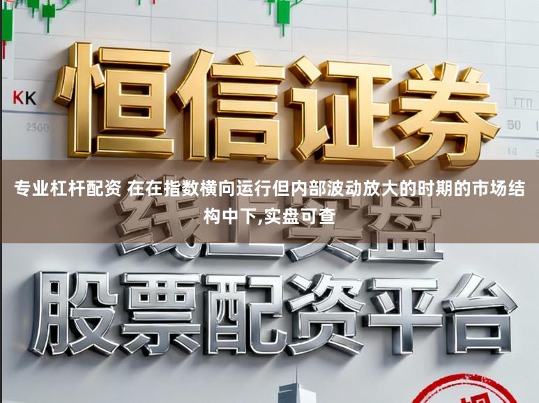 专业杠杆配资 在在指数横向运行但内部波动放大的时期的市场结构中下,实盘可查