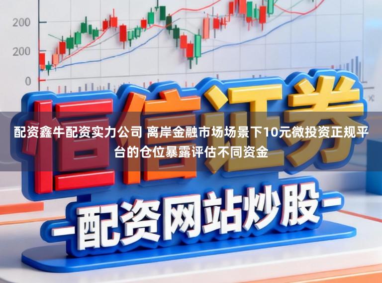 配资鑫牛配资实力公司 离岸金融市场场景下10元微投资正规平台的仓位暴露评估不同资金