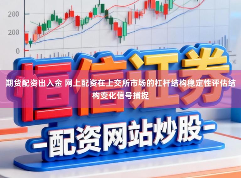 期货配资出入金 网上配资在上交所市场的杠杆结构稳定性评估结构变化信号捕捉