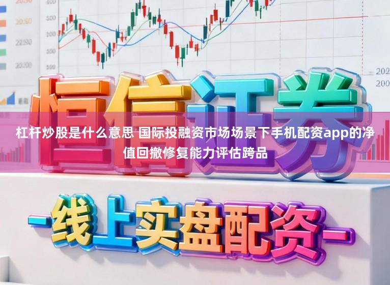 杠杆炒股是什么意思 国际投融资市场场景下手机配资app的净值回撤修复能力评估跨品