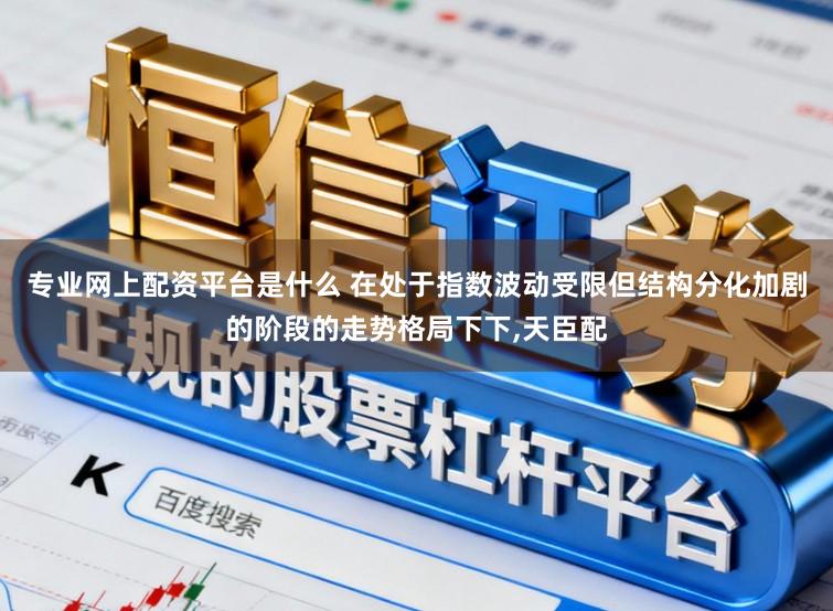 专业网上配资平台是什么 在处于指数波动受限但结构分化加剧的阶段的走势格局下下,天臣配